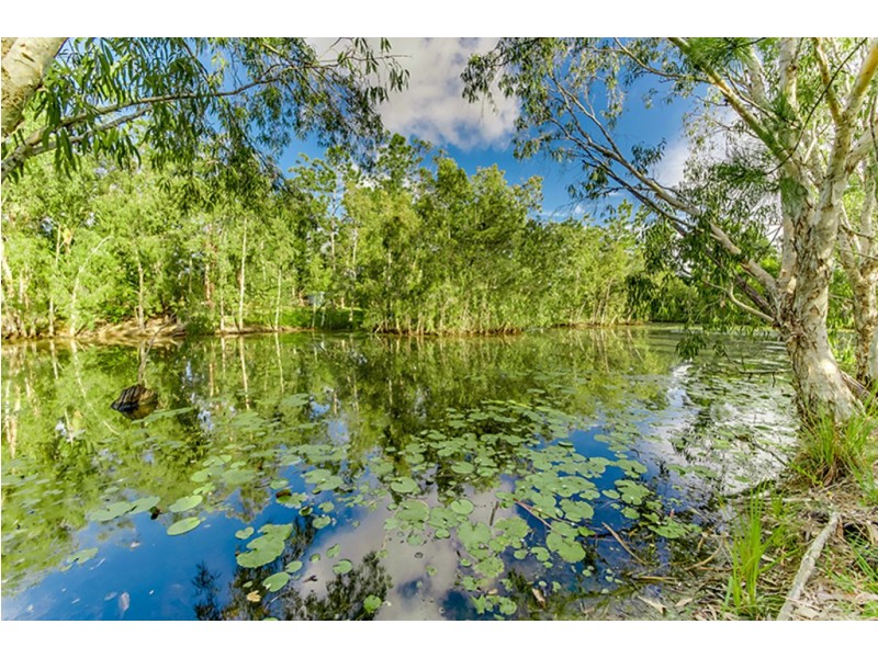 247 Yaxleys Road, Byfield QLD 4703