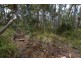 Lot 60 and Lot 1 Byfield Road, Maryvale QLD 4703