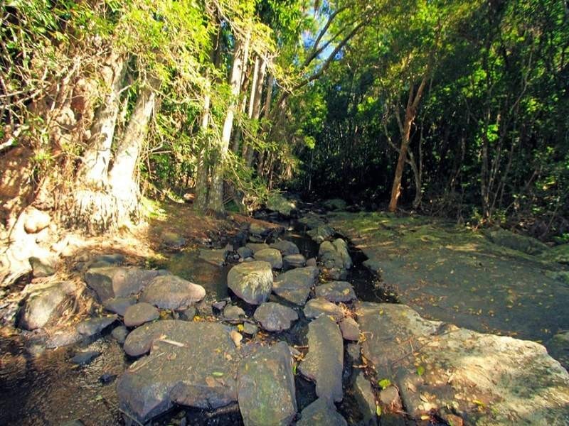 32 Richters Road, Byfield QLD 4703