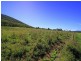 128 Vaughans Road, Adelaide Park QLD 4703