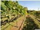 575 Woodbury Road, Woodbury QLD 4703