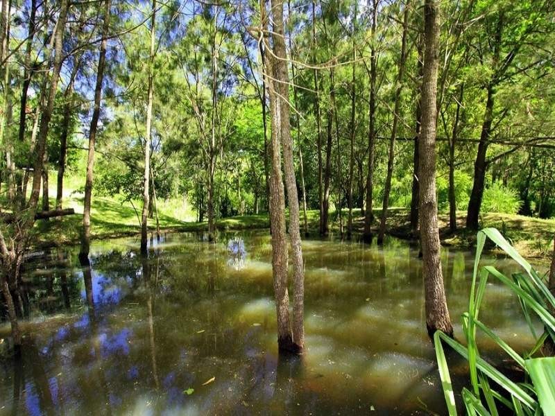 109 Warcons Road, Cawarral QLD 4702