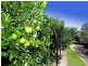 85 Norman Drive, Barmaryee QLD 4703