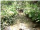Lot 3 Crannys Road, Yeppoon QLD 4703