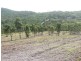 Lot 3 Crannys Road, Yeppoon QLD 4703