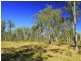 205 Hedlow Road, Cawarral QLD 4702