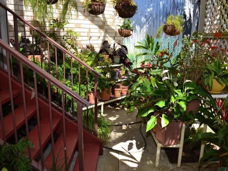 16 Melaleuca Street, Cooee Bay QLD 4703