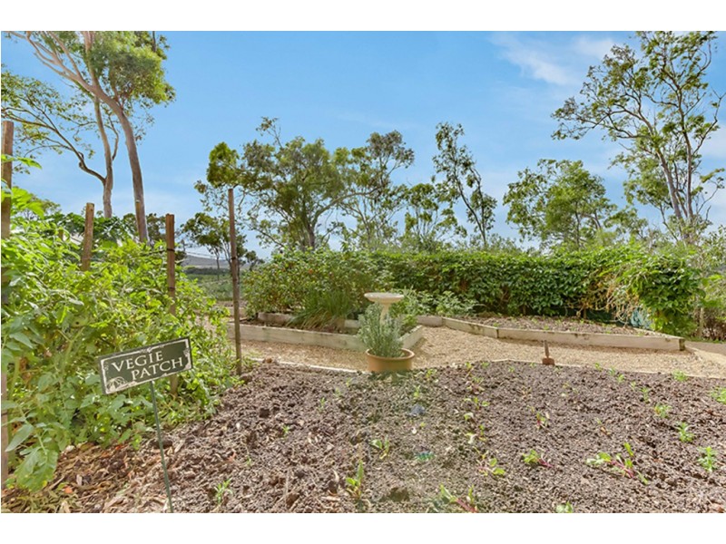 3 Ridgeline Drive, Tanby QLD 4703