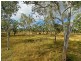 2024 Emu Park Road, Tungamull QLD 4702