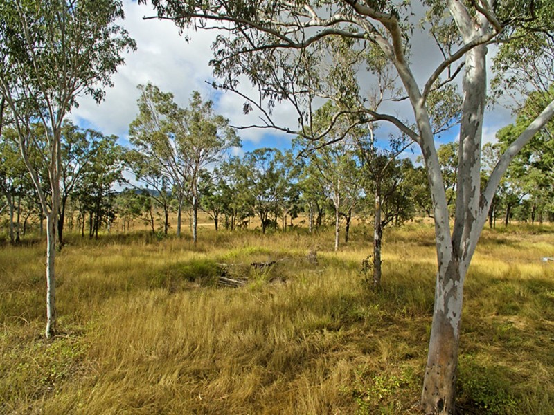2024 Emu Park Road, Tungamull QLD 4702