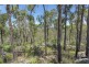4 Davidson Road, Cawarral QLD 4702