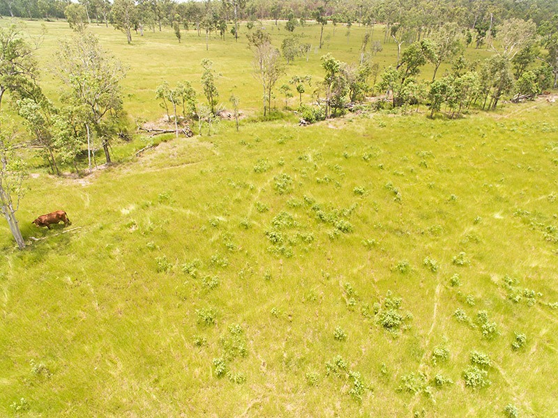 90 Paddys Swamp Road, Bungundarra QLD 4703