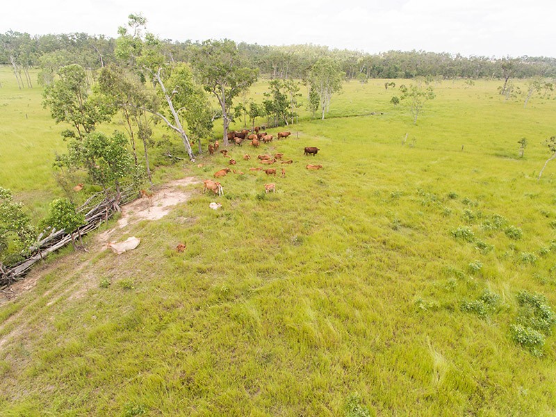 90 Paddys Swamp Road, Bungundarra QLD 4703