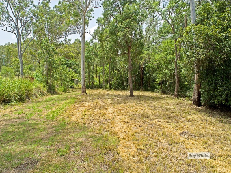 570 Coorooman Creek Road, Cawarral QLD 4702