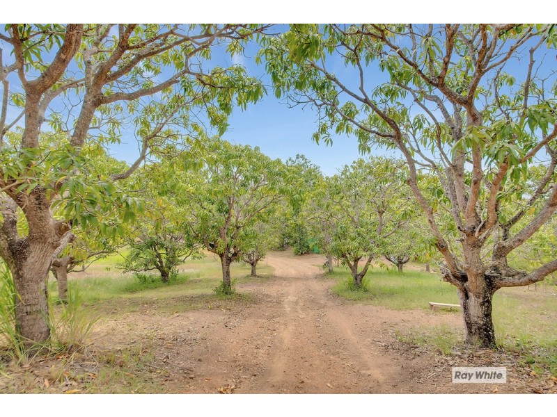 123 Norpine Road, Bungundarra QLD 4703