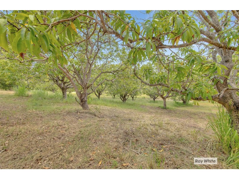 123 Norpine Road, Bungundarra QLD 4703