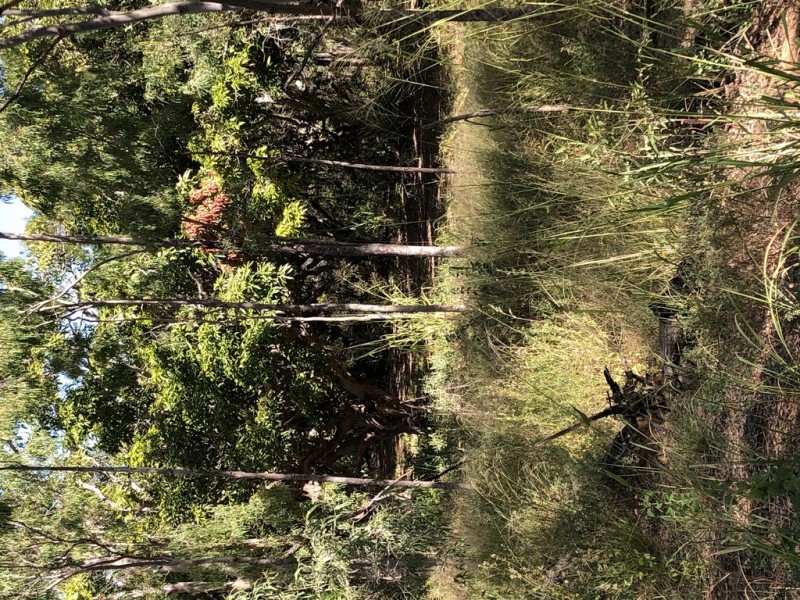 Lot 2 Keppel Sands Road, Keppel Sands QLD 4702