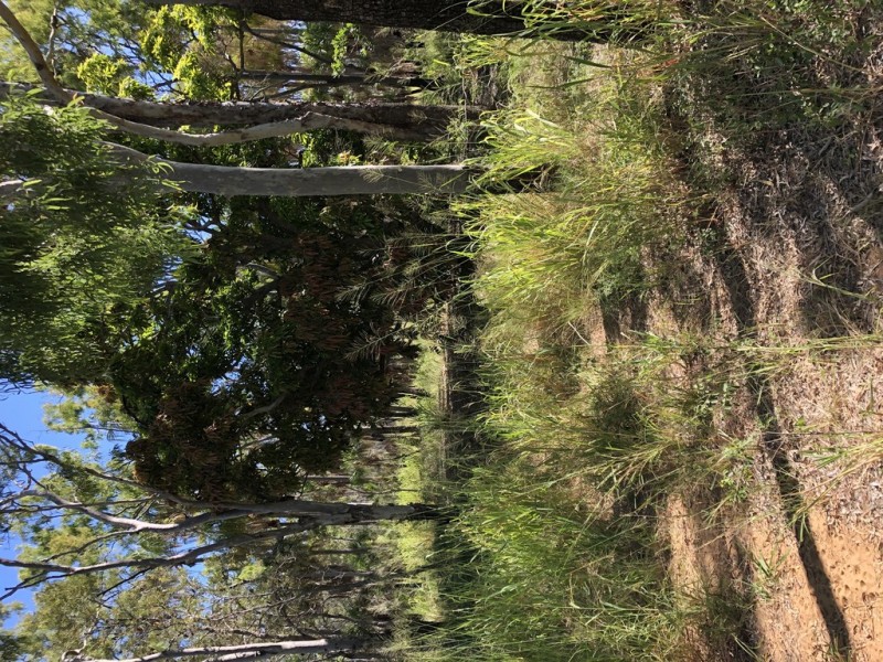 Lot 2 Keppel Sands Road, Keppel Sands QLD 4702