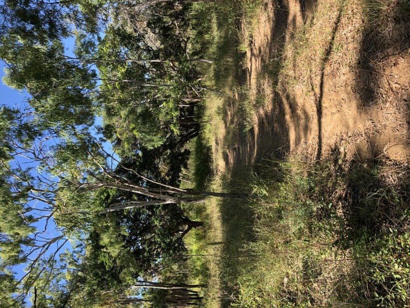 Lot 2 Keppel Sands Road, Keppel Sands QLD 4702