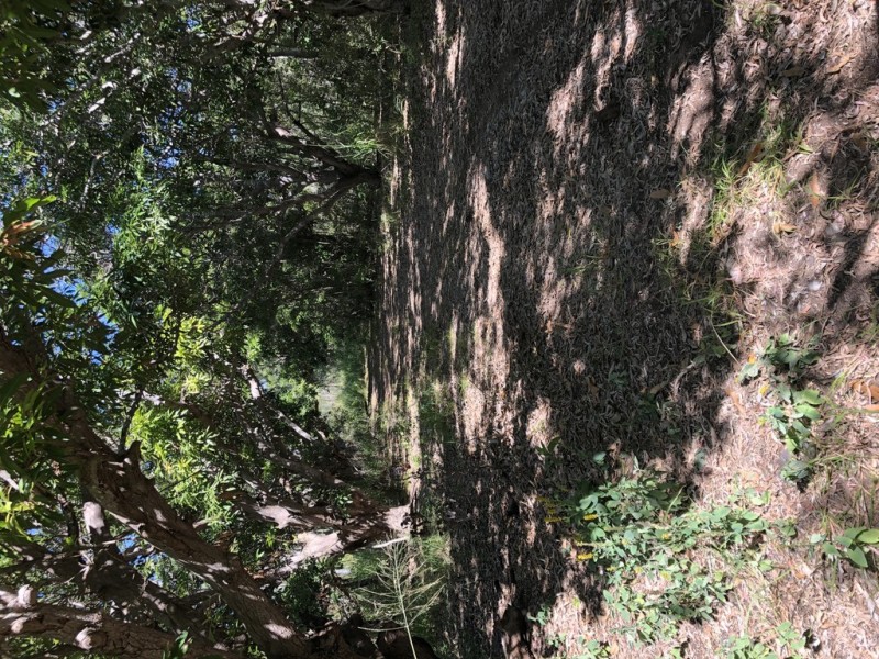 Lot 2 Keppel Sands Road, Keppel Sands QLD 4702