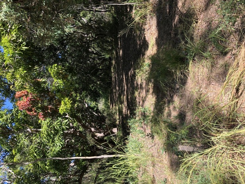 Lot 2 Keppel Sands Road, Keppel Sands QLD 4702