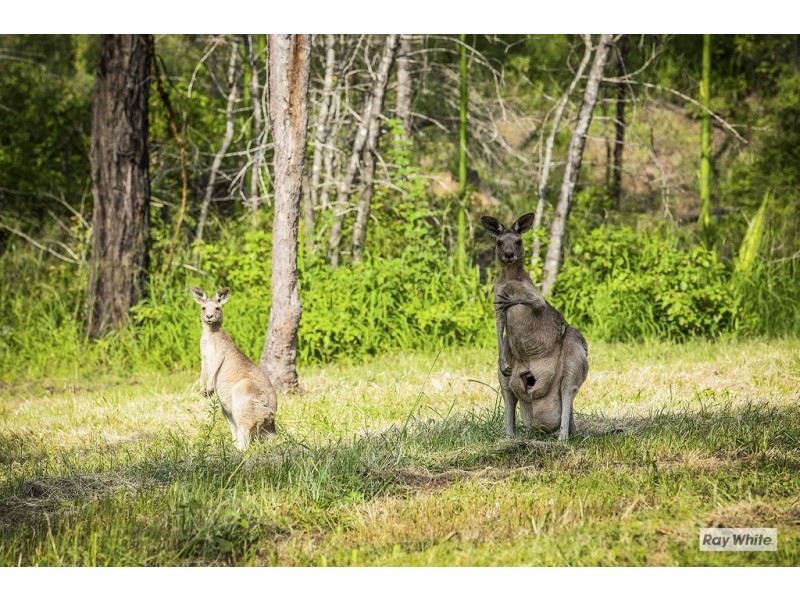 1066 Yeppoon Road, Ironpot QLD 4701