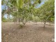 128 Hidden Valley Road, Hidden Valley QLD 4703