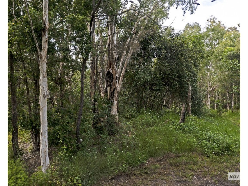 2550 Byfield Rd, Byfield QLD 4703