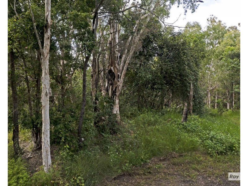 2550 Byfield Rd, Byfield QLD 4703