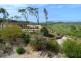99 Barlows Road, Taroomball QLD 4703