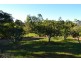 181 Norpine Road, Bungundarra QLD 4703