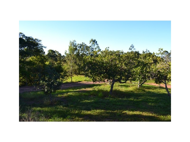 181 Norpine Road, Bungundarra QLD 4703