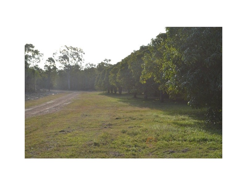 Lot 31 Tanby Post Office Road, Bondoola QLD 4703