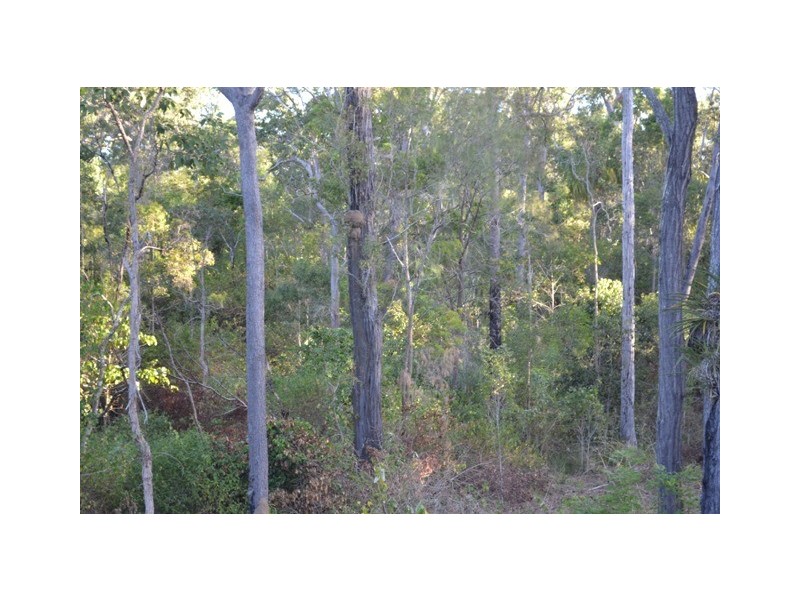 Lot 31 Tanby Post Office Road, Bondoola QLD 4703