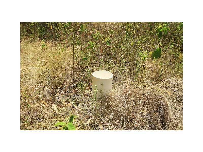 333 Pine Mountain Road, Mulara QLD 4703