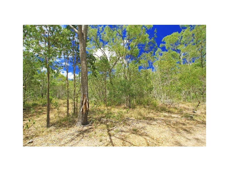 333 Pine Mountain Road, Mulara QLD 4703