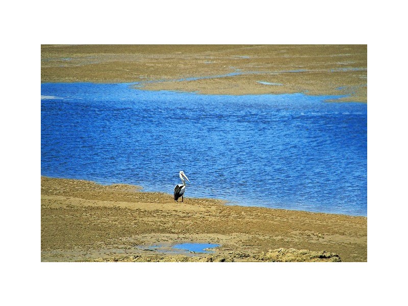 922 Scenic Highway, Kinka Beach QLD 4703