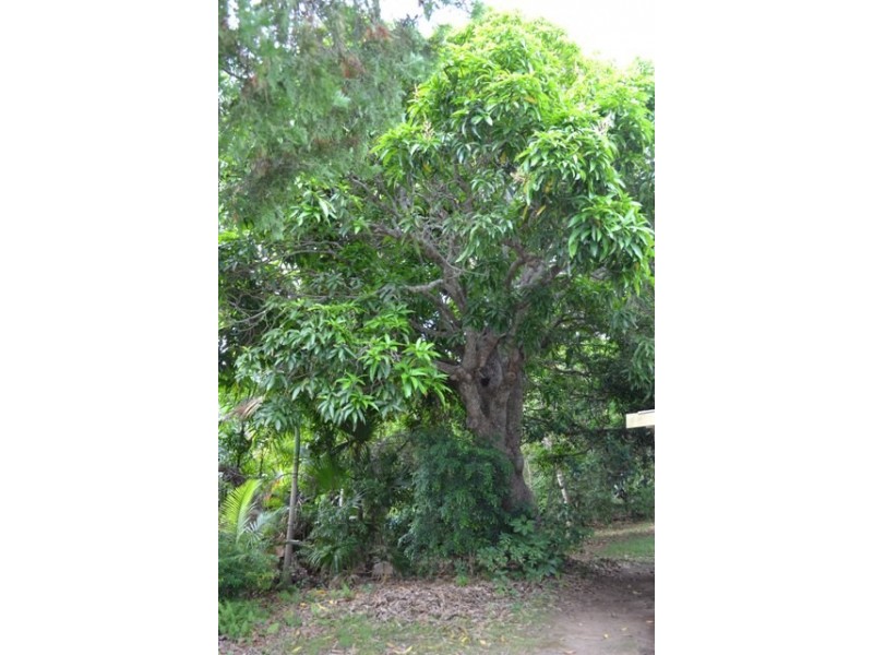 11 Hutton Street, Yeppoon QLD 4703