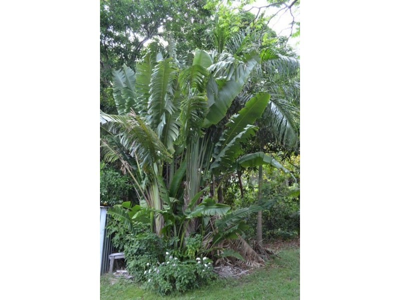 11 Hutton Street, Yeppoon QLD 4703