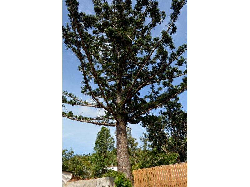 11 Hutton Street, Yeppoon QLD 4703