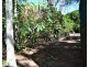 22 Greer Street, Yeppoon QLD 4703