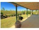 21 Costello Road, Tungamull QLD 4702