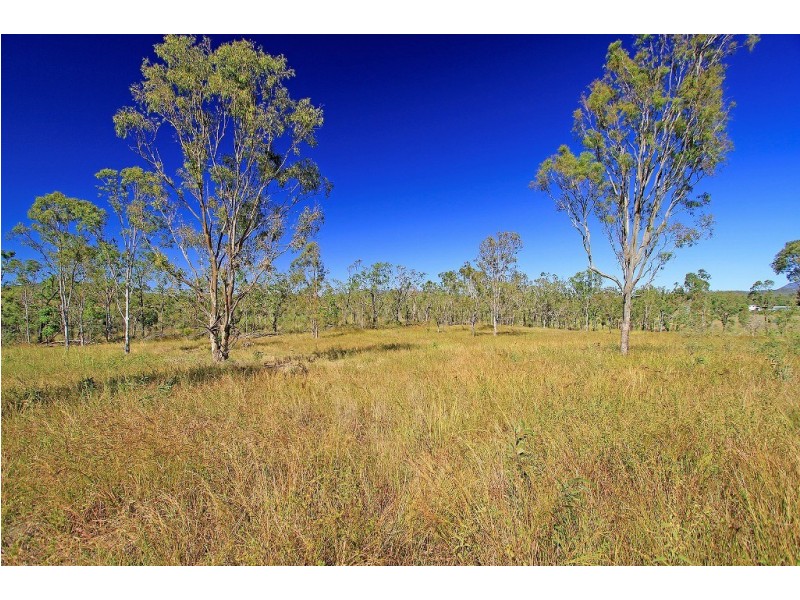 21 Costello Road, Tungamull QLD 4702