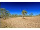 21 Costello Road, Tungamull QLD 4702