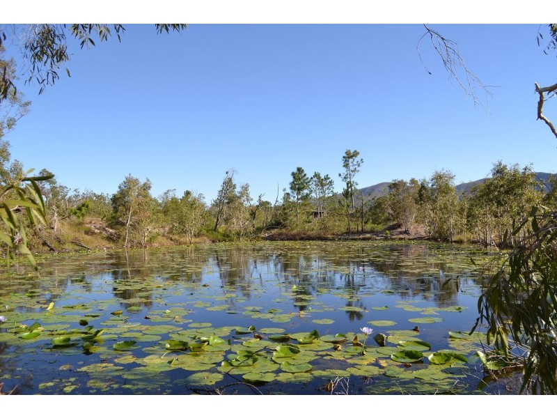 221 Yaxleys Road, Byfield QLD 4703