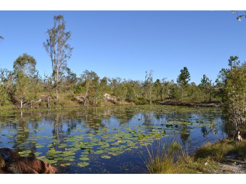 221 Yaxleys Road, Byfield QLD 4703
