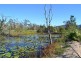 221 Yaxleys Road, Byfield QLD 4703