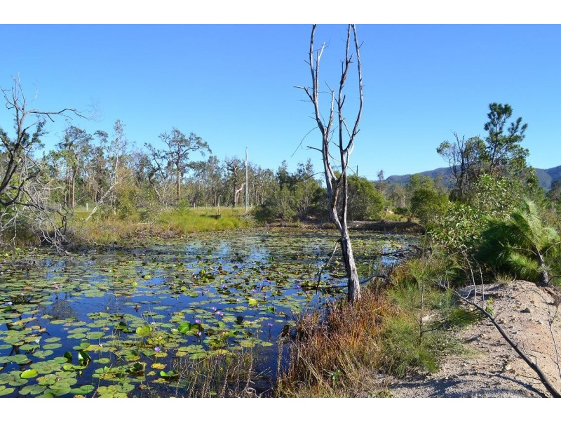 221 Yaxleys Road, Byfield QLD 4703