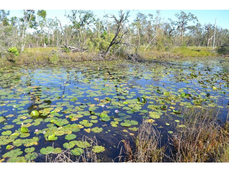 221 Yaxleys Road, Byfield QLD 4703