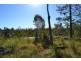 221 Yaxleys Road, Byfield QLD 4703